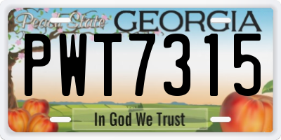 GA license plate PWT7315