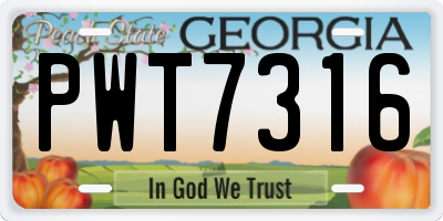GA license plate PWT7316