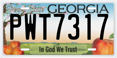 GA license plate PWT7317