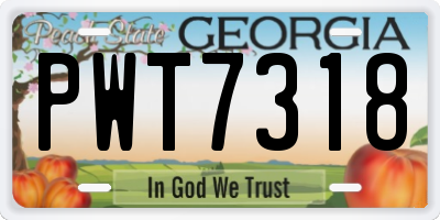 GA license plate PWT7318