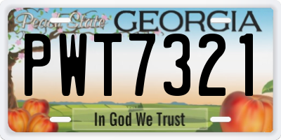 GA license plate PWT7321