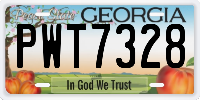 GA license plate PWT7328