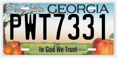 GA license plate PWT7331