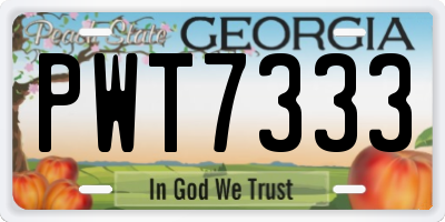 GA license plate PWT7333