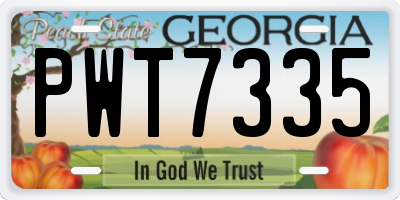 GA license plate PWT7335