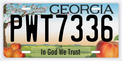 GA license plate PWT7336