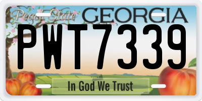 GA license plate PWT7339