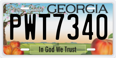 GA license plate PWT7340