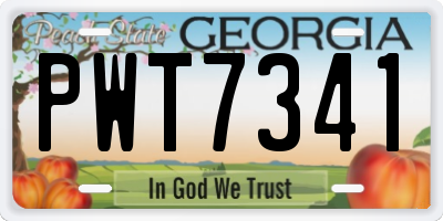 GA license plate PWT7341