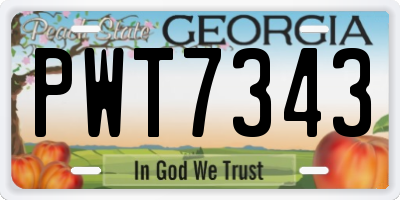 GA license plate PWT7343