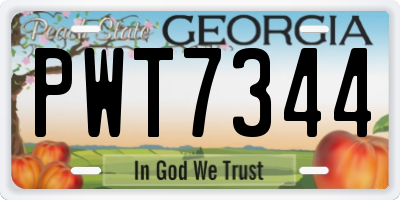 GA license plate PWT7344