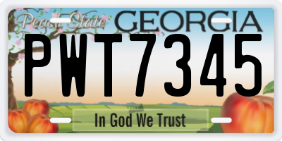 GA license plate PWT7345