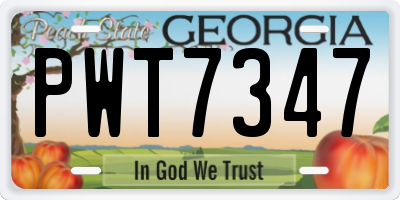 GA license plate PWT7347