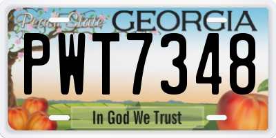 GA license plate PWT7348