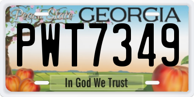 GA license plate PWT7349