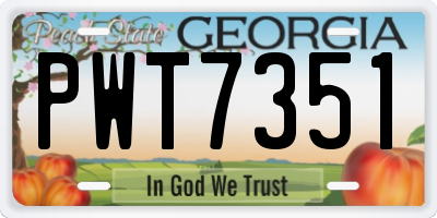 GA license plate PWT7351