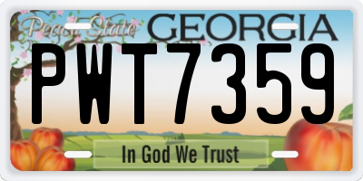 GA license plate PWT7359