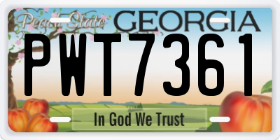 GA license plate PWT7361