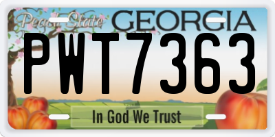 GA license plate PWT7363