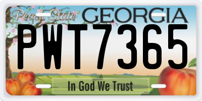 GA license plate PWT7365