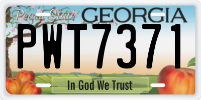 GA license plate PWT7371