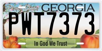 GA license plate PWT7373