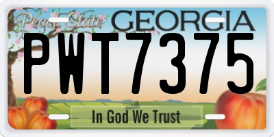 GA license plate PWT7375