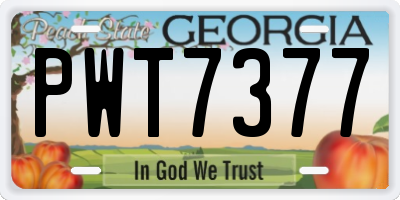 GA license plate PWT7377