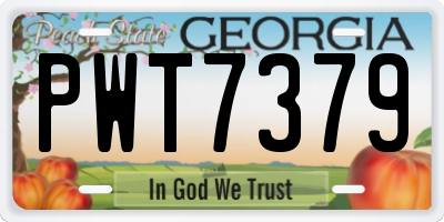 GA license plate PWT7379