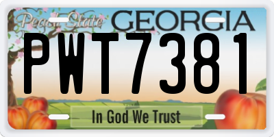 GA license plate PWT7381