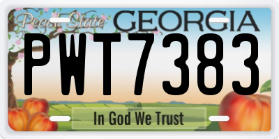 GA license plate PWT7383