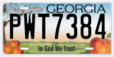 GA license plate PWT7384