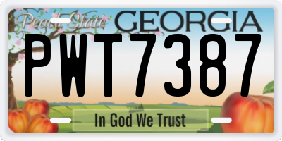 GA license plate PWT7387