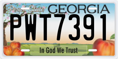 GA license plate PWT7391