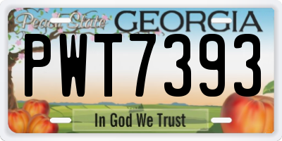 GA license plate PWT7393