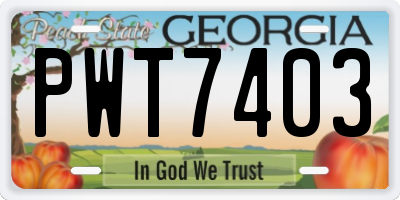GA license plate PWT7403