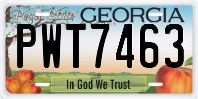 GA license plate PWT7463