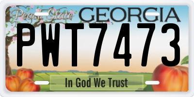 GA license plate PWT7473