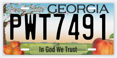 GA license plate PWT7491