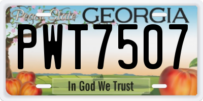 GA license plate PWT7507