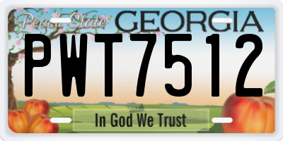 GA license plate PWT7512