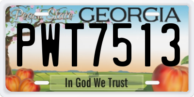 GA license plate PWT7513