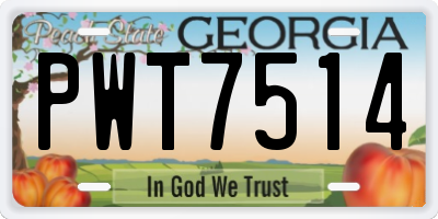 GA license plate PWT7514