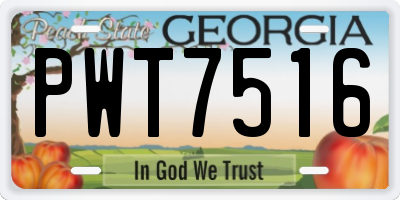 GA license plate PWT7516