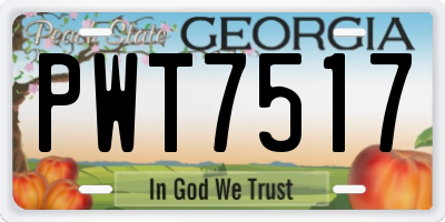 GA license plate PWT7517