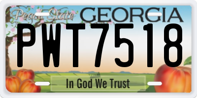 GA license plate PWT7518