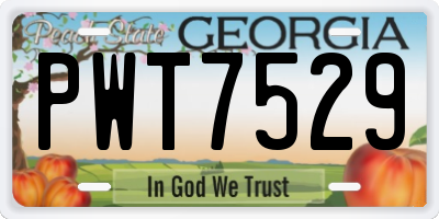 GA license plate PWT7529