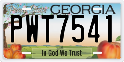 GA license plate PWT7541