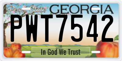 GA license plate PWT7542