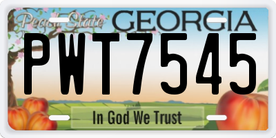 GA license plate PWT7545